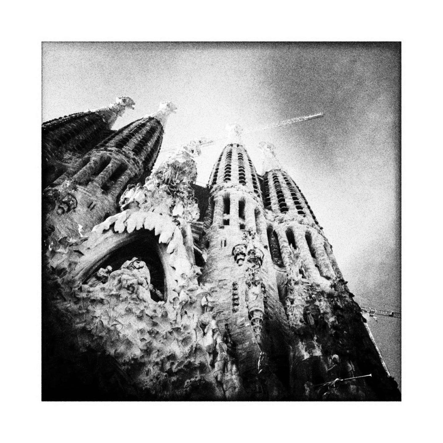 Le crie de Gaudi